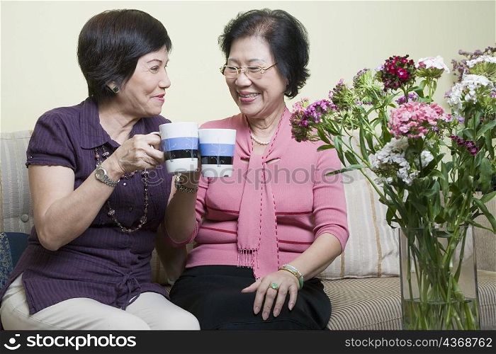 Close-up of two senior women toasting with cups and smiling