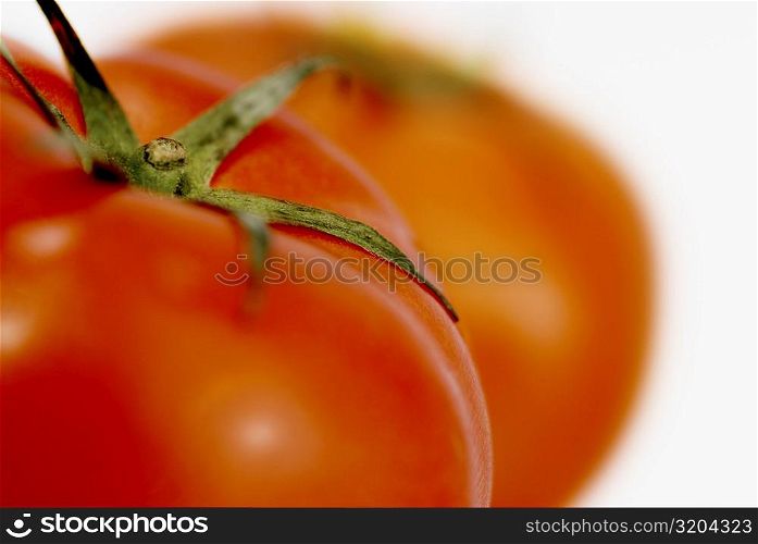 Close-up of two tomatoes