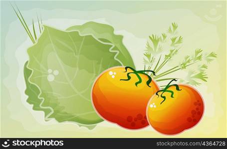 Close-up of two tomatoes with a cabbage and cilantro