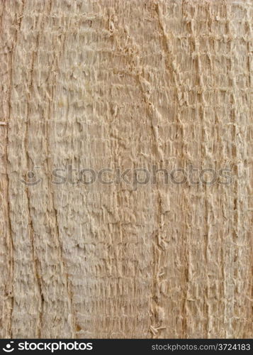 Close up of uncolored plank surface