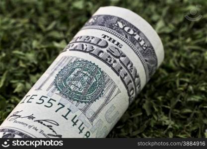 Close up of US currency on seasoning of dried, green parsley reflects successful investments in agriculture, spices and seasonings products, and food and restaurant industry.