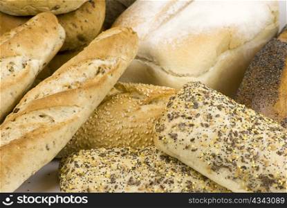 close up of variety of freshly baked bread