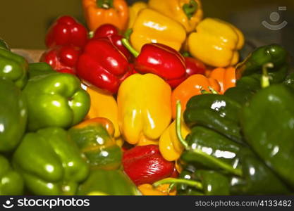 Close-up of various type of bell peppers at a market stall, Zacatecas State, Mexico