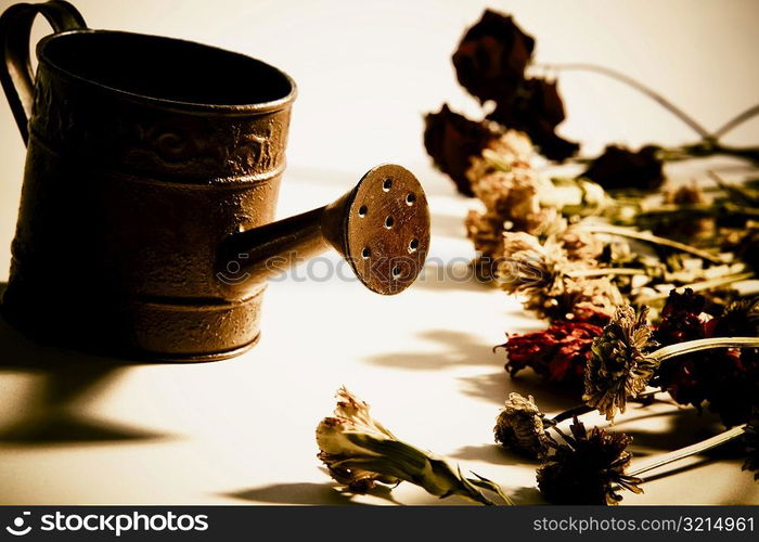 Close-up of water can near dried flowers