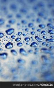Close-up of water droplets