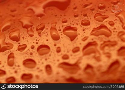 Close-up of water drops on a red surface