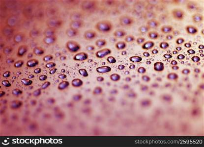 Close-up of water drops on a smooth surface