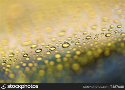 Close-up of water drops on a surface