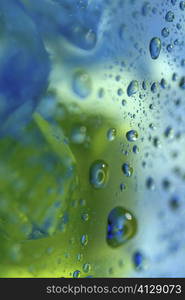 Close-up of water drops on a surface