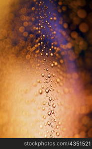 Close-up of water drops on a surface