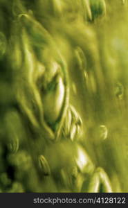 Close-up of water drops on ice cubes