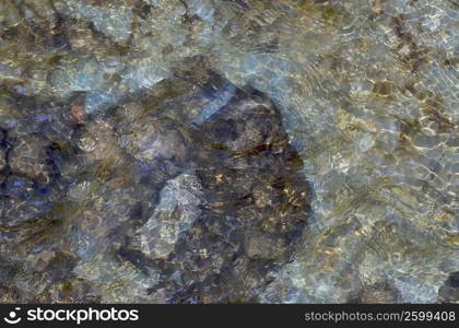 Close-up of water on rocks