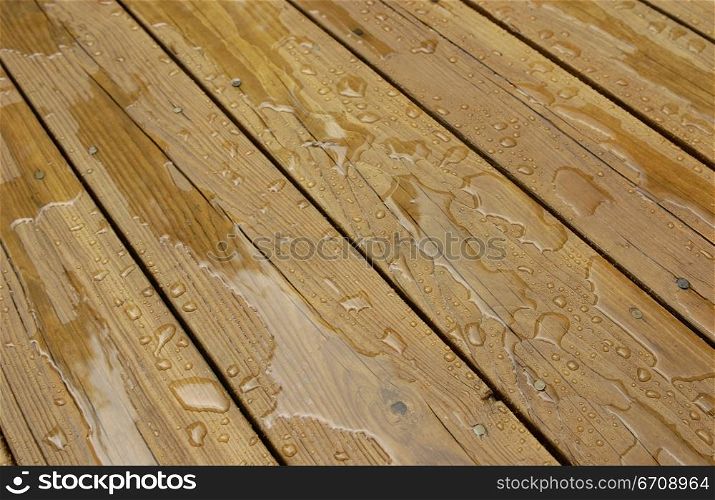 Close-up of water on wooden planks