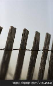 Close-up of weathered wooden fence.