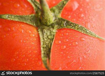 Close up of wet red ripe tomato.