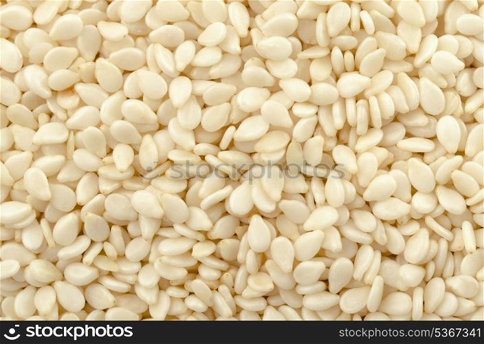 Close up of white sesame seeds