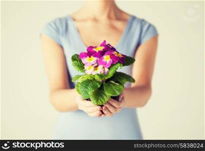 close up of woman&#39;s hands holding flower in pot
