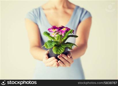 close up of woman&#39;s hands holding flower in pot