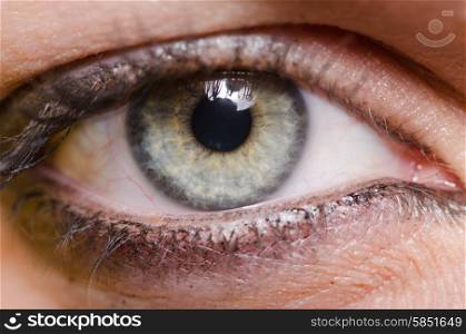 Close up of woman eye