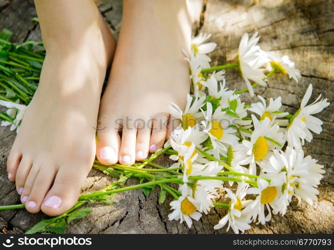 close up of woman feet with camomiles