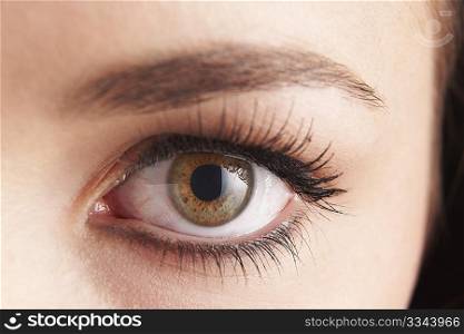 close up of womans brown eye with false eye lashes