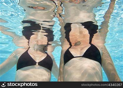 Close up of women in swimming pool