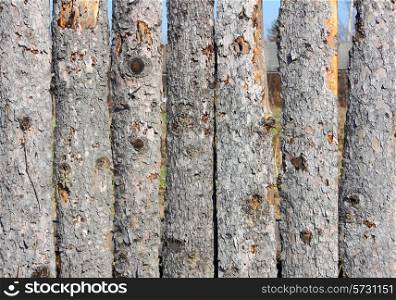 Close up of wooden fence panels