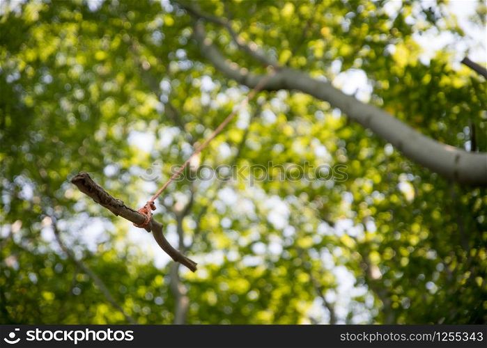 Close up of wooden swing on a tree, outdoors in the wood