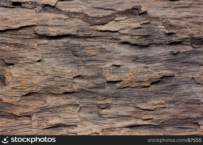 close up of wooden texture