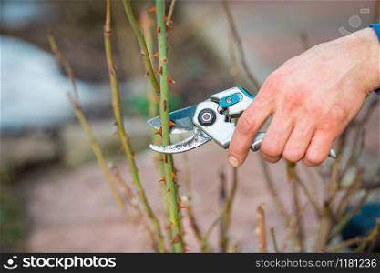 Close up of worker hands. The gardener cuts branches of bushes and trees in his garden. Spring garden work to care for trees and plants.. Close up of worker hands. The gardener cuts branches of bushes and trees in his garden.