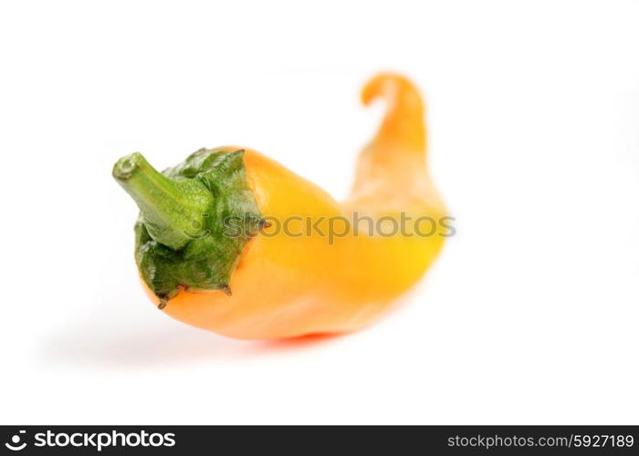 Close-up of yellow chilli pepper