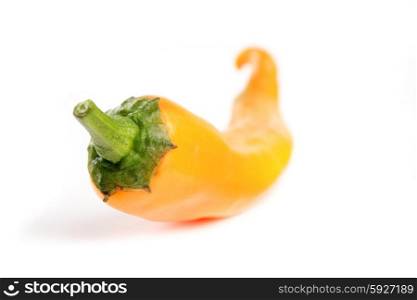 Close-up of yellow chilli pepper