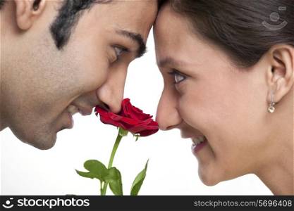 Close-up of young couple with red rose