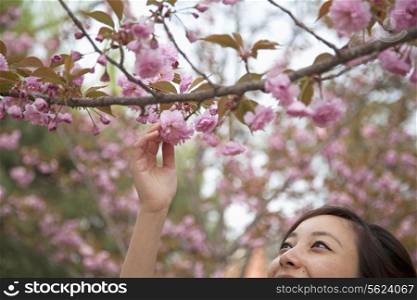 Close-Up of young woman reaching for a pink blossom on a tree branch, outdoors in the park in springtime