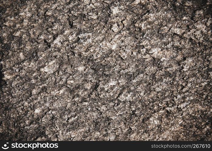 Close-up old aged rustic tree bark in dark color with natural pattern for use as abstract grunge nature background