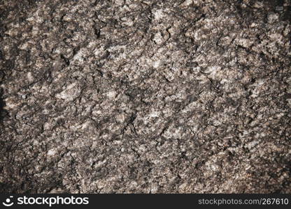 Close-up old aged rustic tree bark in dark color with natural pattern for use as abstract grunge nature background