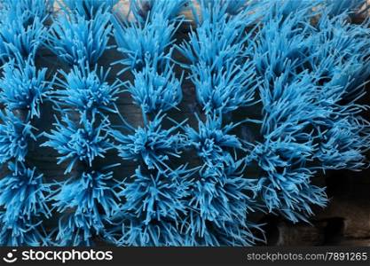 close up old blue wooden scrub brush
