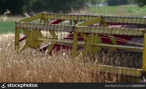 Close up on combine machine harvesting ripe wheat