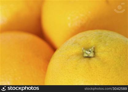 Close-up oranges