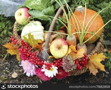 Close up organic fruit and vegetable in basket