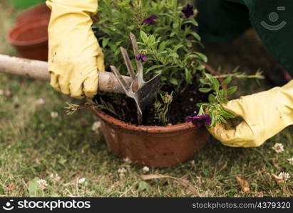 close up person with flower pot