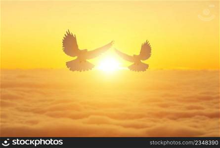close-up photo of a black silhouette bird flying at dusk against an orange sunset