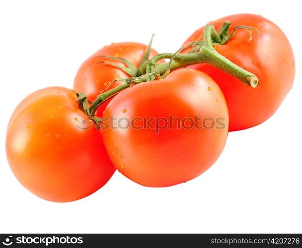 Close-up photo of tomatoes with water drops