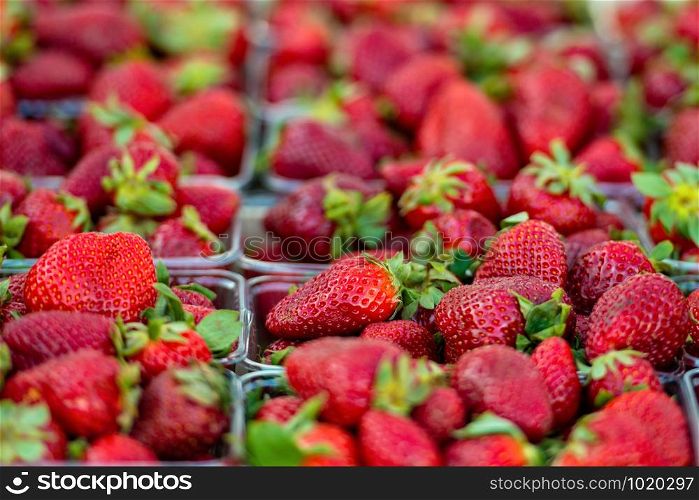 Close-up photography of fresh strawberries.