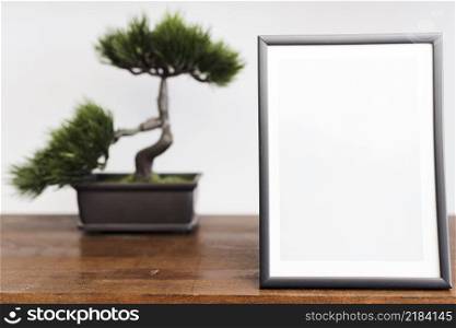 close up picture frame with bonsai