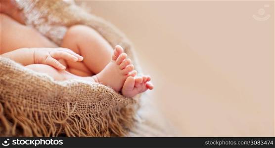 Close up picture of new born baby feet. Close up picture with copy space