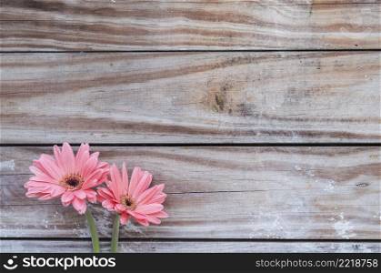 close up planks with two cute flowers