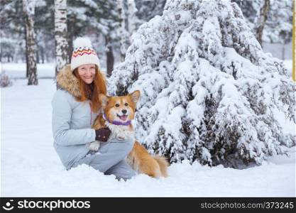 close up portrait dog corgi fluffy and his owner playing on a winter walk at the outdoor