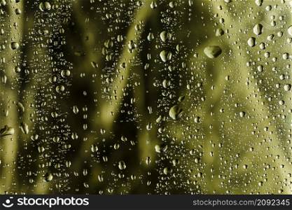 close up raindrops blurred background