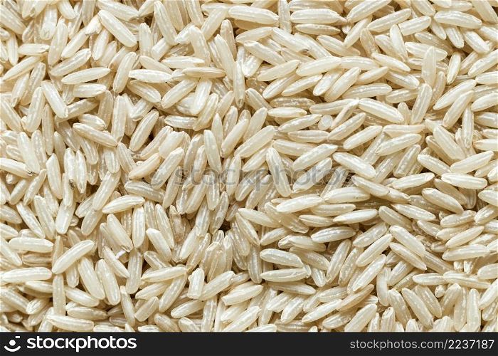 close up rice grains